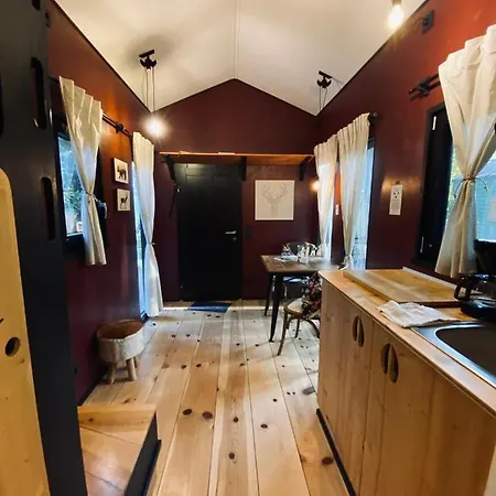 Tiny House Bigge Im Pier9 Tiny House