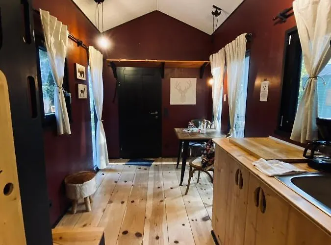 Tiny House Bigge Im Pier9 Tiny House